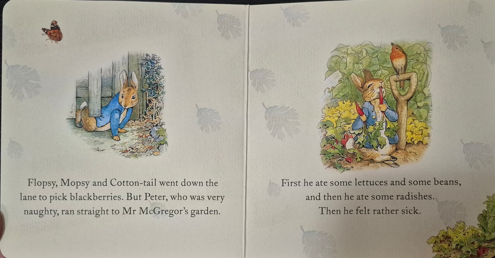 BOARD BOOK** 🍅🍓THE TALE OF PETER RABBIT BY BEATRIX POTTER