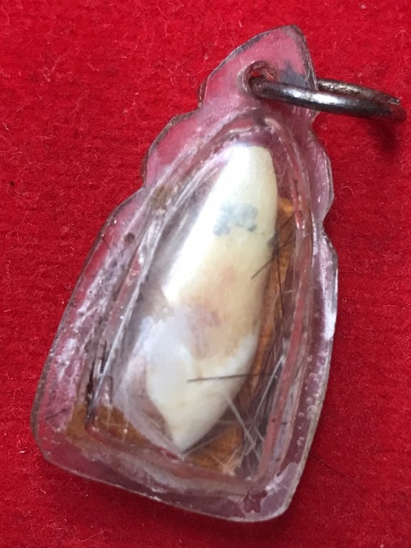 พระทันตธาตุ ครูบาแสง วัดร้องกองข้าว จ.เชียงใหม่ ได้มาจากกำนันคำ อดีตกำนันบ้านปากกอง อ.สารภี จ.เชียงใหม่ ปัจจุบันอายุ 86 ปี (บันทึก พ.ศ.2566) กำนันคำได้พระทันตธาตุครูบาแสง ได้มาเมื่อปี พ.ศ.2535 ได้มาจากลูกศิษย์ครูบาแสน ชื่อหนานเสม คน อ.สันกำแพง