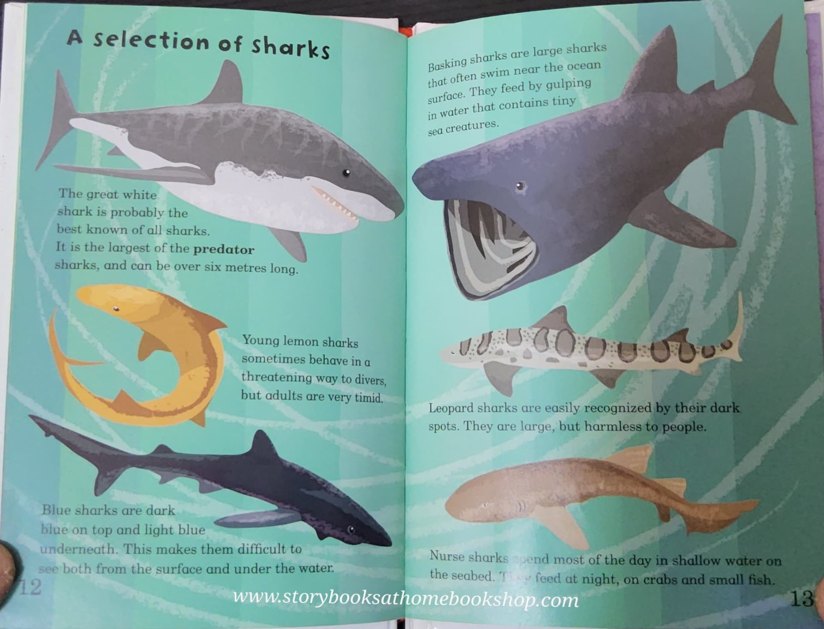 หนังสือนิทานปกแข็ง** 🍅🍓MAD ABOUT SHARKS