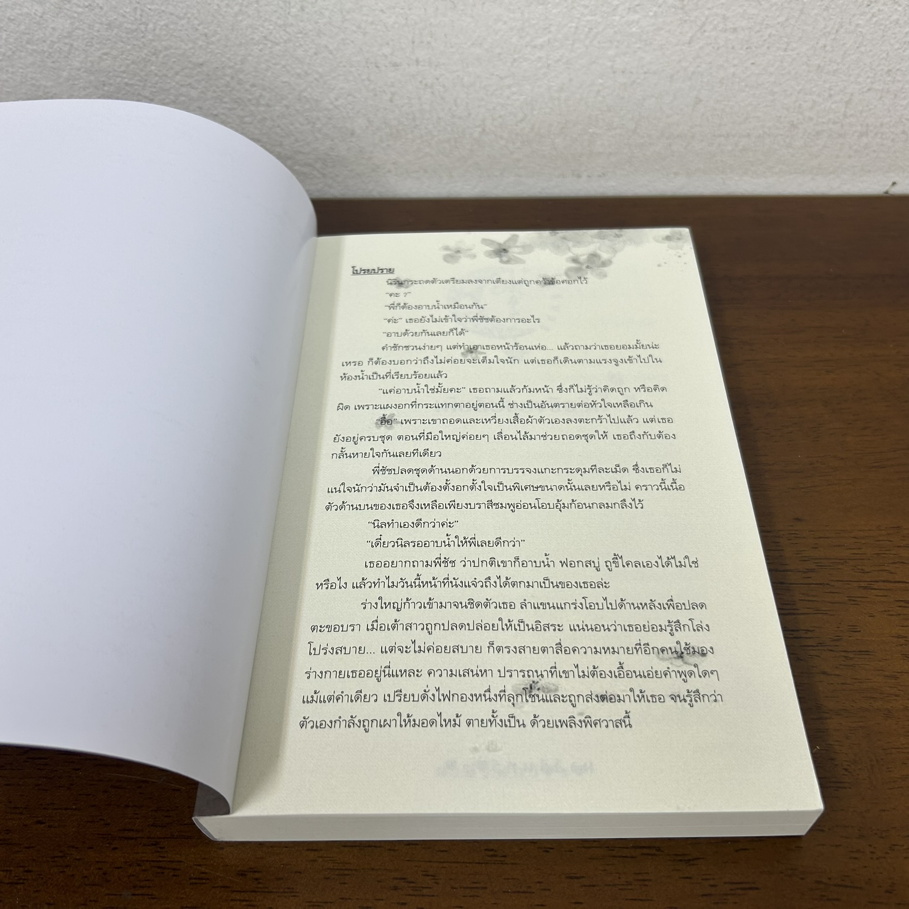 เมียลับของชัชวิน ... มาลีรินทร์ (มือสอง) นิยาย โรแมนติก ทำมือ