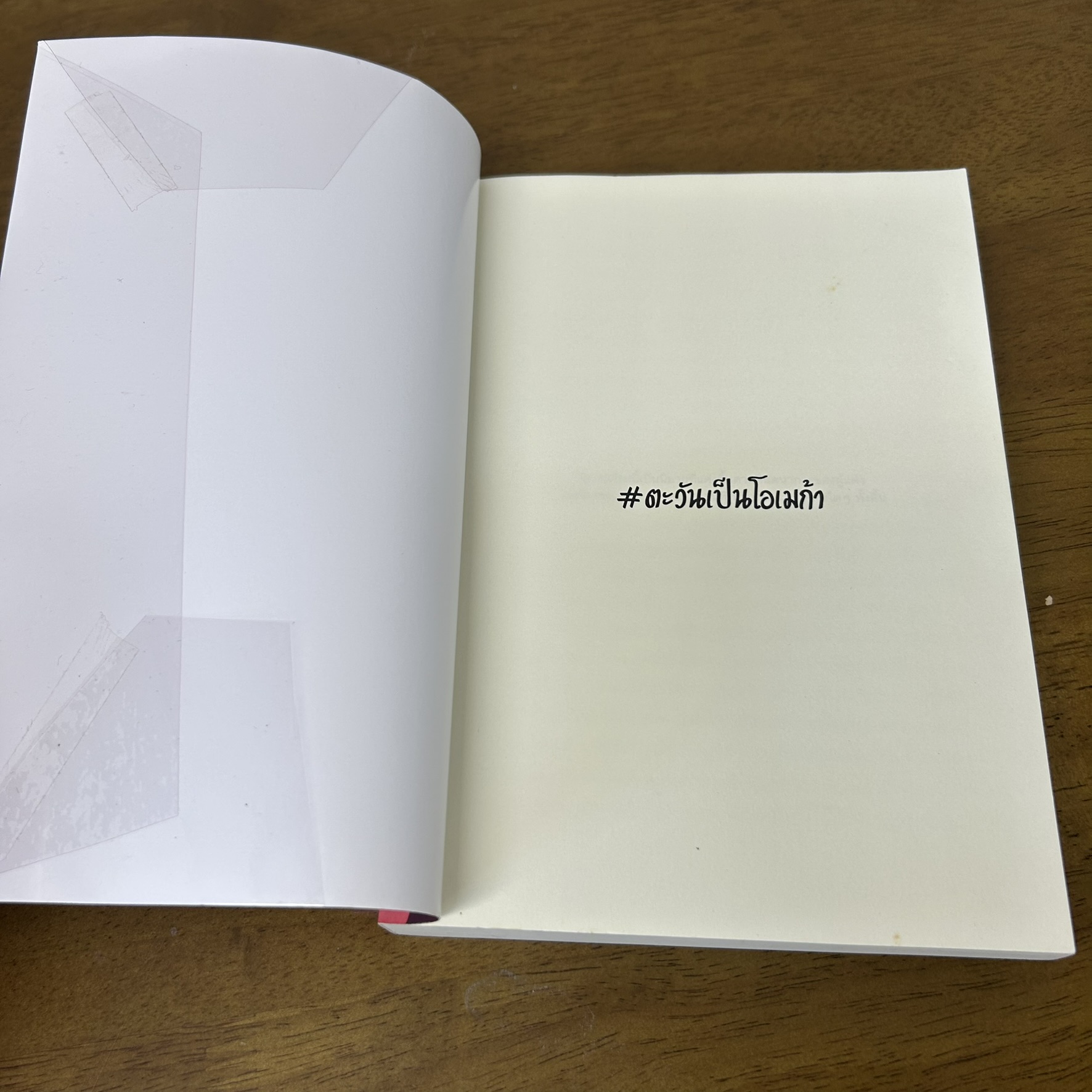 [YAOI] I am Omega เกิดมาครั้งนี้ผมเป็นโอเมก้า ... เจ้ากรมขี้เซา (มือสอง) นิยายวาย