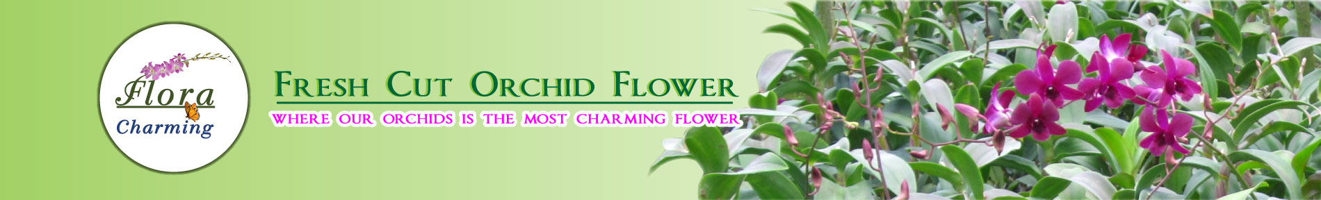 Flora Charming Co.,Ltd.