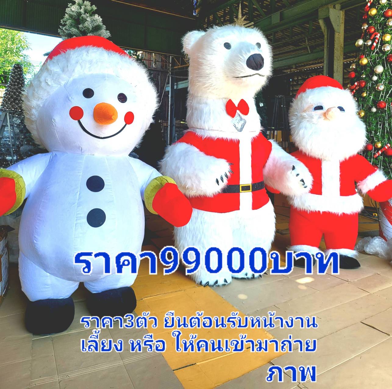 ชุดของตกแต่ง สุดพิเศษ