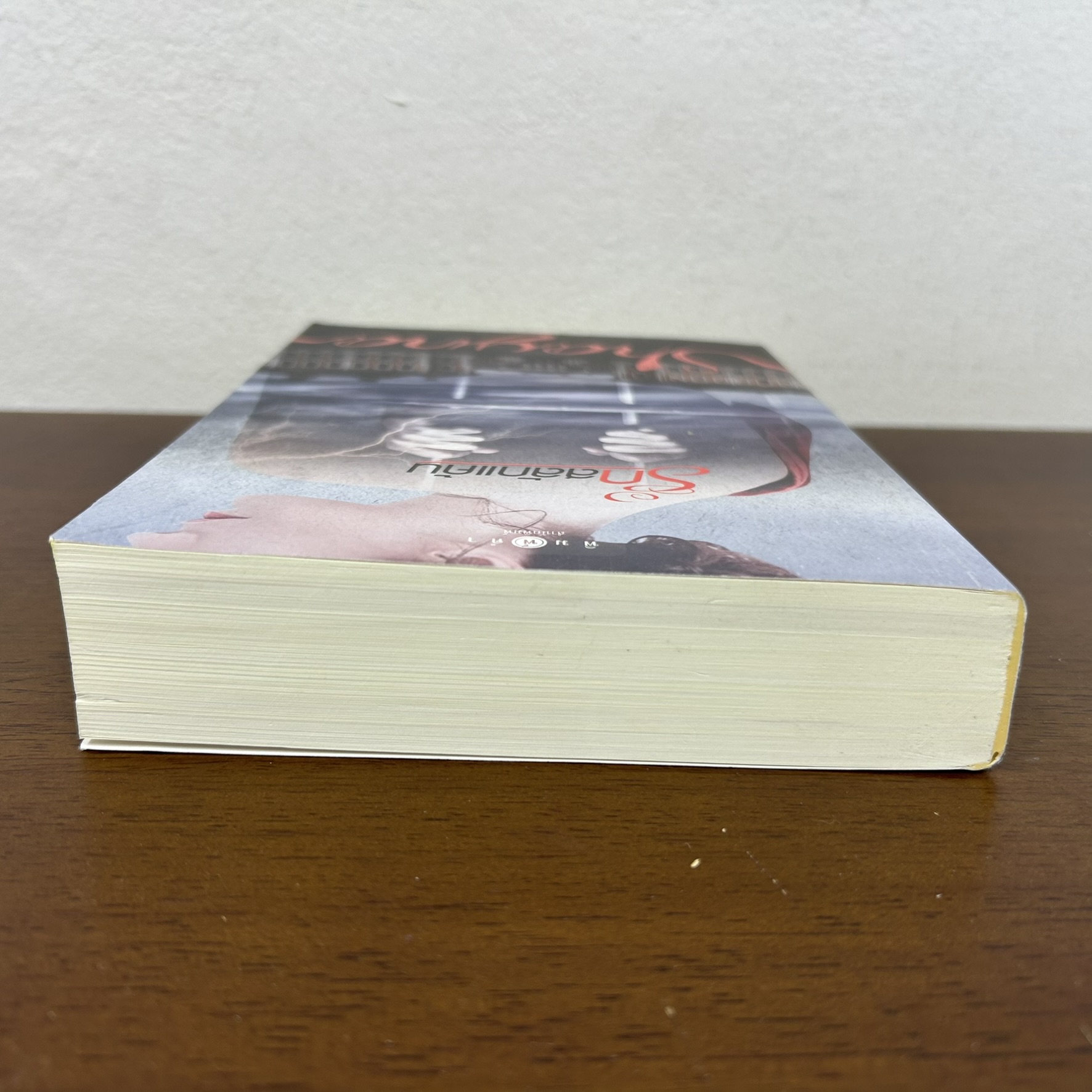 รักสลักแค้น ... Shayna (มือสอง) นิยาย โรมานซ์ พิมพ์คำ