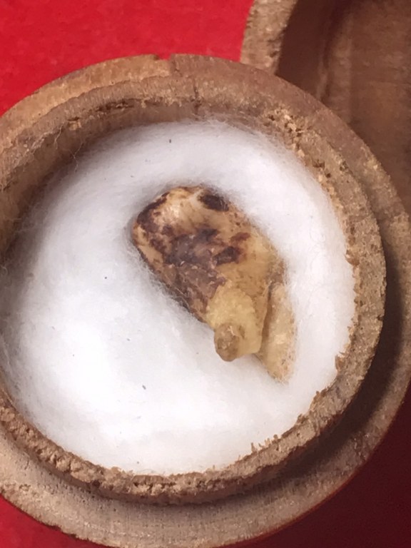 พระทันตธาตุครูบาเหมย วัดศรีดงเย็น อ.ไชยปราการ จ.เชียงใหม่ พระทันตธาตุองค์นี้ได้มาจากลุงวิทูรย์ อายุ 82 ปี อดีตเคยเป็นครูสอนโรงเรียนไชยปราการ คุณครูท่านเป็นลูกศิษย์ครูบาคำเหมย ตั้งแต่ปี 2525 ท่านได้รับจากมือครูบาเหมย เมื่อปี 2529