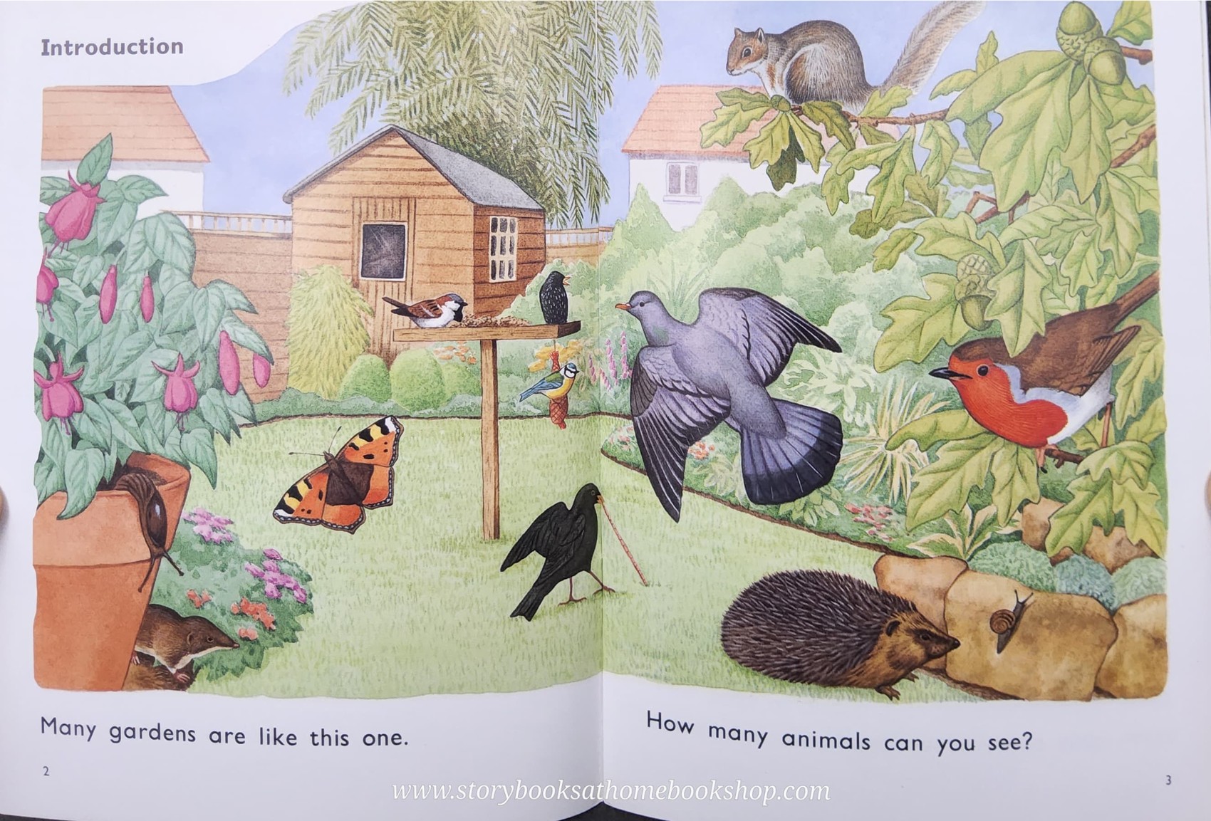 Knowledge Book** ð
ð
FUZZBUZZ FACTS: ANIMALS IN THE GARDEN LEVEL2