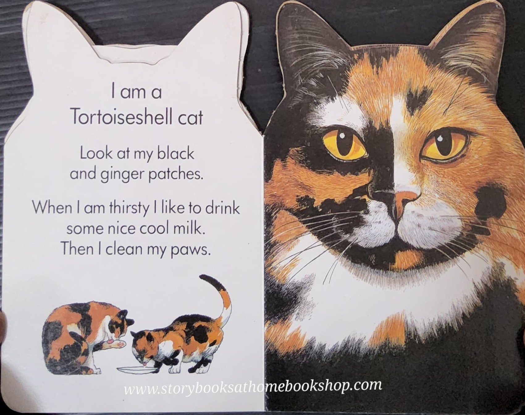 Board Book** 🍅🍓MY FIRST CAT BOOK