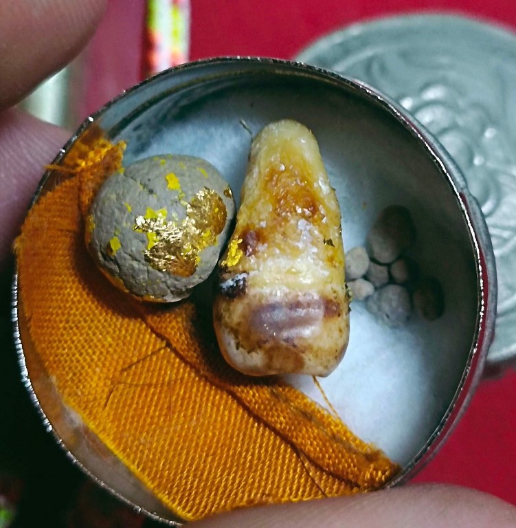 พระทันตธาตุ ครูบาสิทธิ วัดปางต้นเดื่อ อ.แม่อาย จ.เชียงใหม่ เจ้าของเดิมชื่อคุณบอม เคยเป็นเภสัชโรงพยาบาลสันทราย จ.เชียงใหม่ ปัจจุบันอายุ 47 ปี (บันทึก พ.ศ.2566) เคยเป็นศิษย์และนับถือครูบาสิทธิตั้งแต่ปี 2549 - 2555 จนครูบาสิทธิท่านมรณภาพ