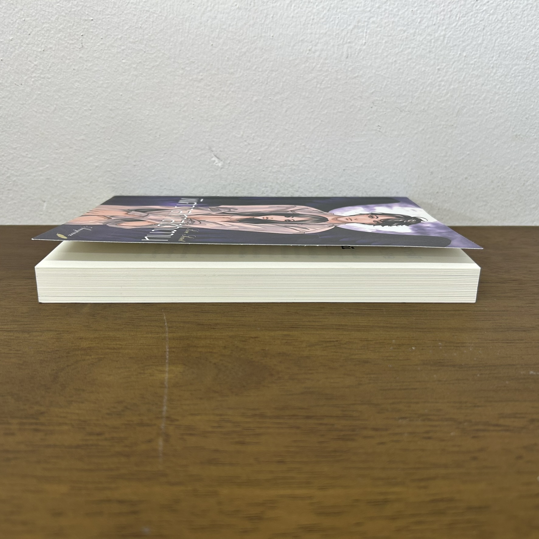 พิศวาสทาสซาตาน ... Anyanee อัญญาณี (มือสอง) นิยาย โรมานซ์ ทำมือ