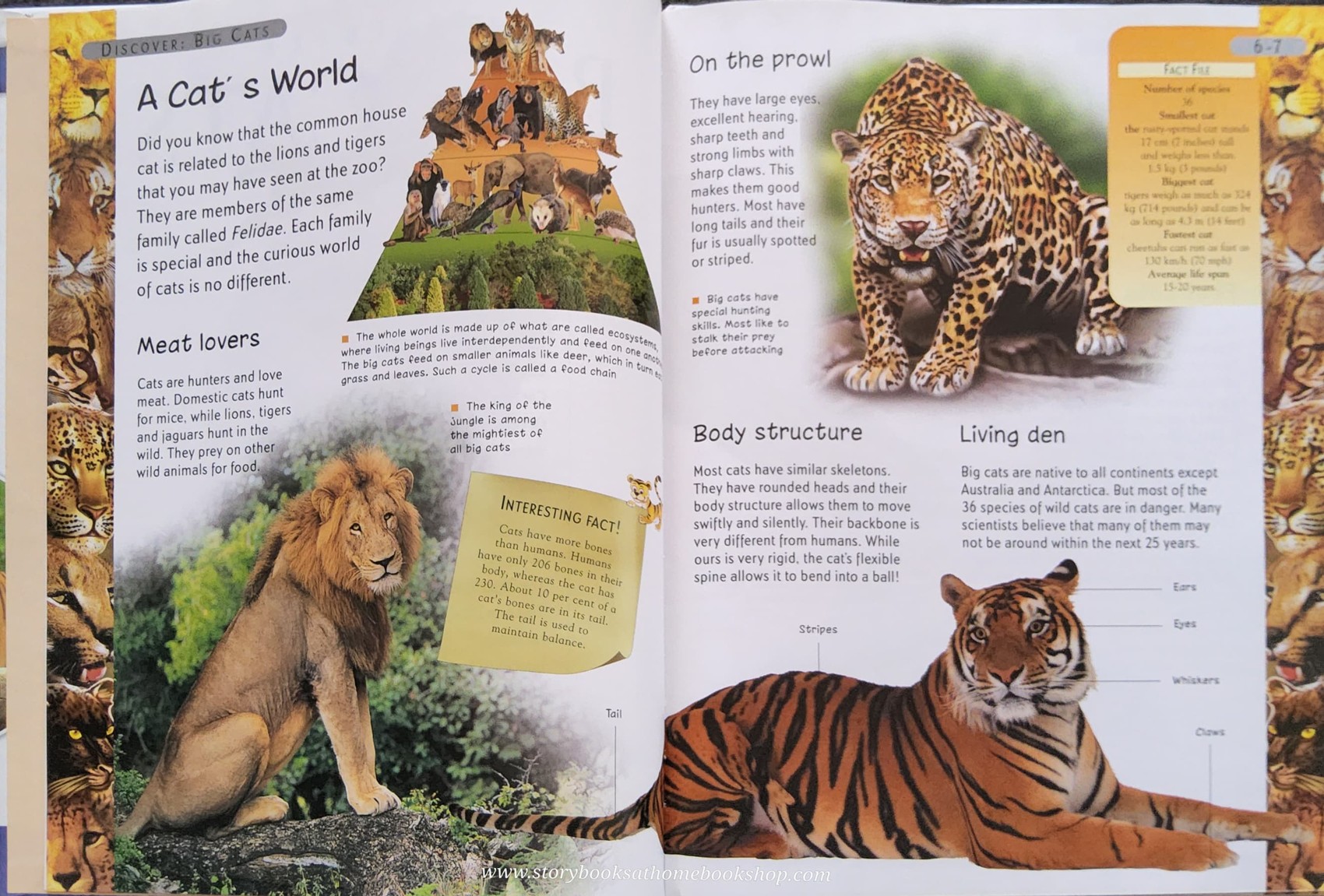 Knowledge Book** ð
ðWonder of Learning Discover BIG CATS