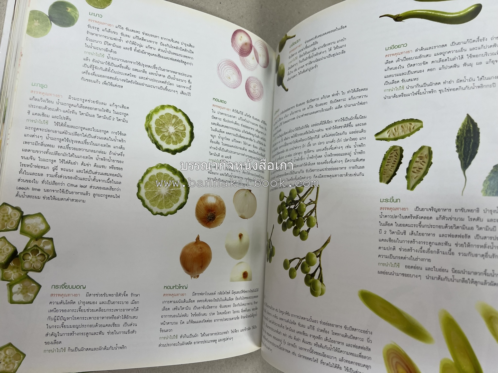 อาหารไทย...จากอดีตสู่ปัจจบัน (ตำรับดั้งเดิม ตำรับยอดนิยม และตำรับเครื่องแกงไทย โดย : มหาวิทยาลัยสวนดุสิต และสถาบันอาหาร (NFI).