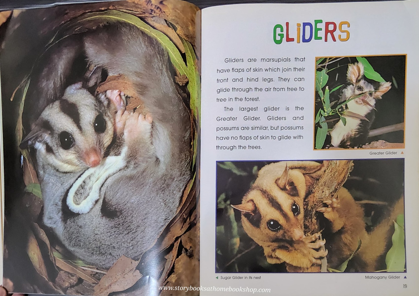 KNOWLEDGE BOOK** ð
ðNATURE KIDS AUSTRALIAN WILDLIFE
