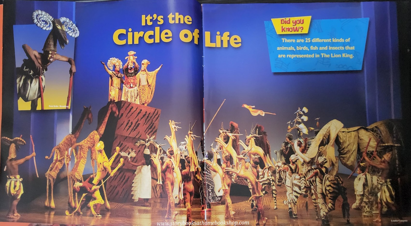 หนังสือปกอ่อน** 🍅🍓DISNEY PRESENT THE LION KING