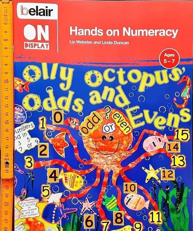 Knowledge Guide Book** 🍅🍓beliar on display: Hand on Numeracy age 5-11