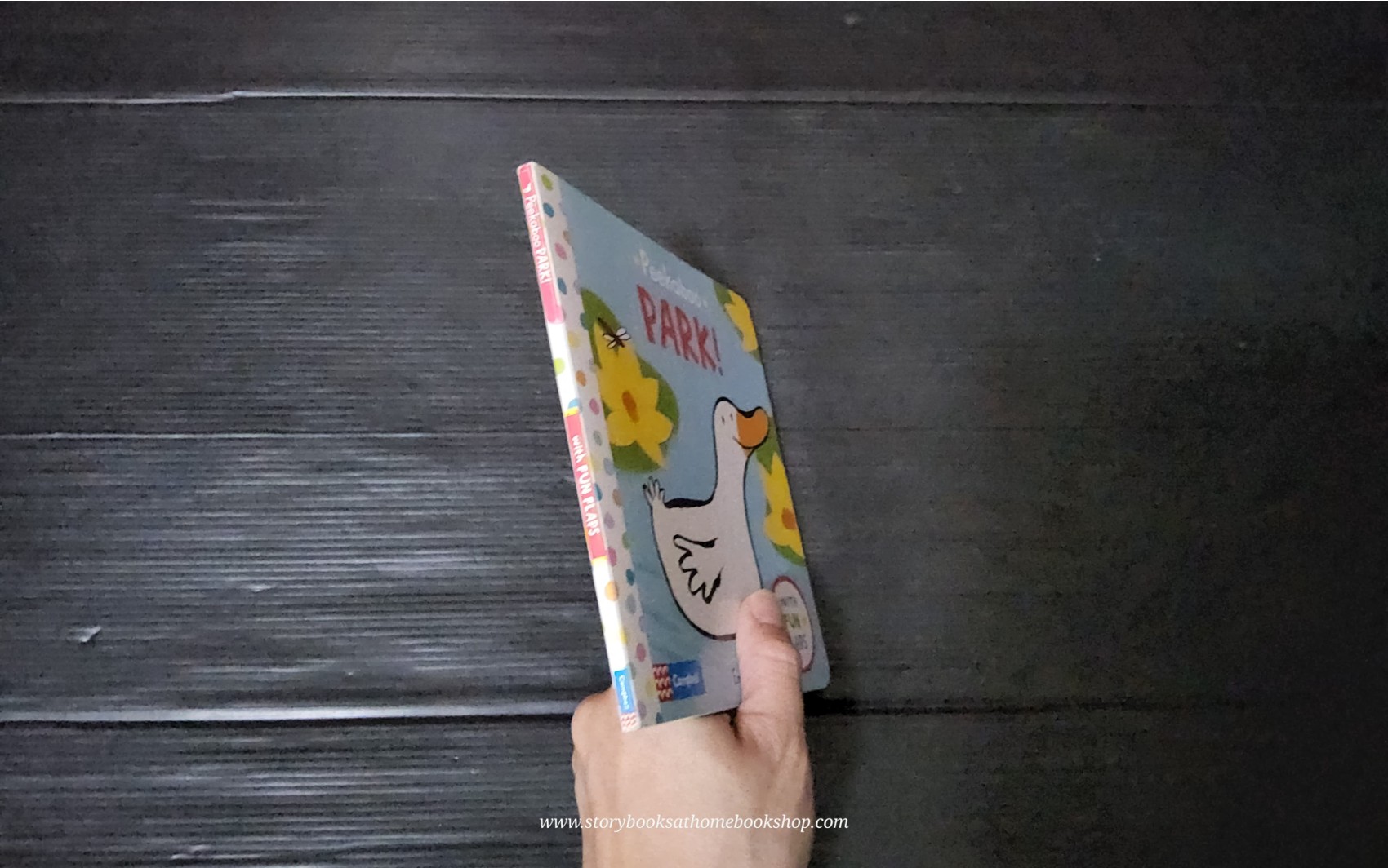 FLAP BOARD BOOK** 🍅🍓PEEKABOO PARK!