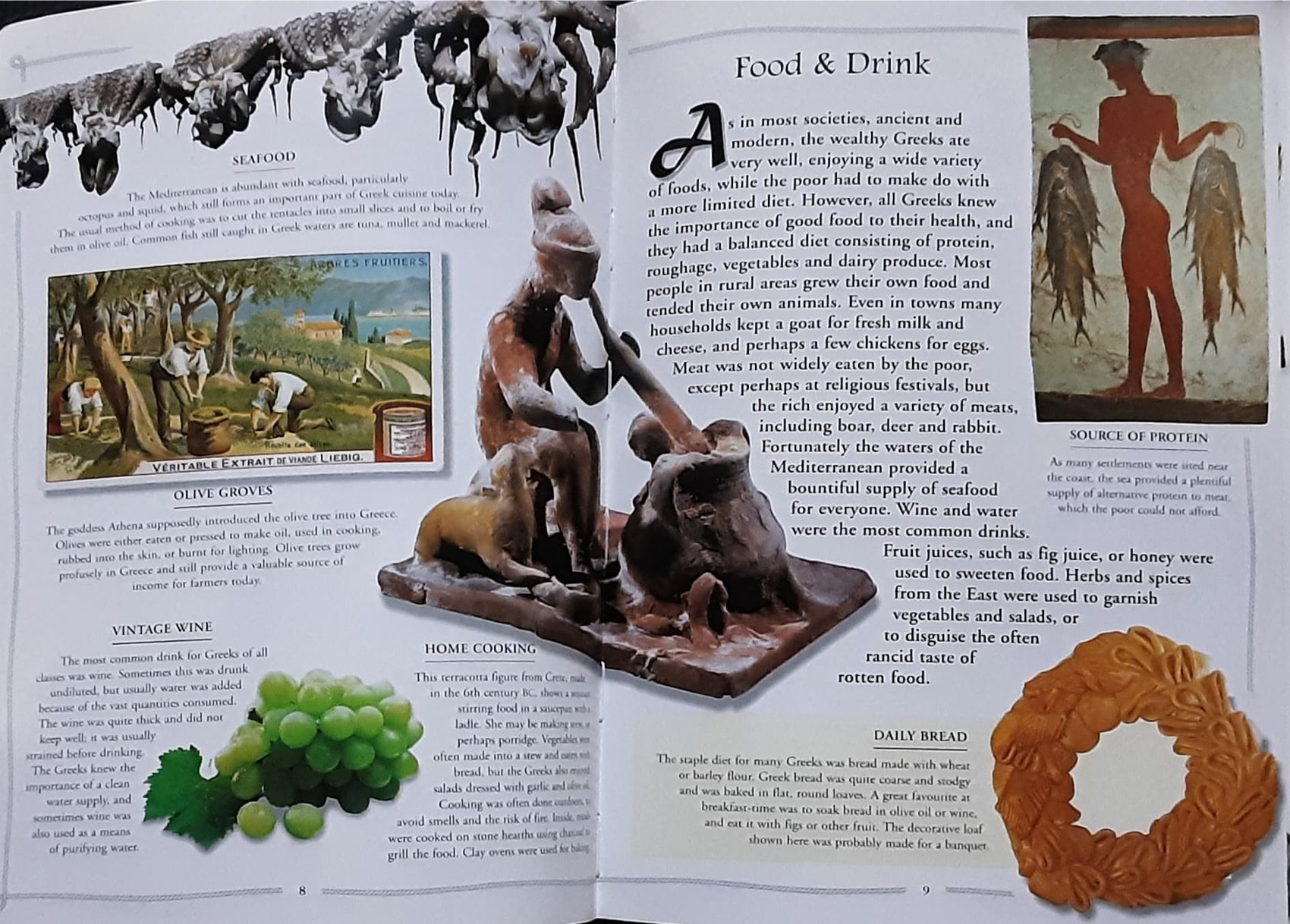 KNOWLEDGE BOOK** 🍅🍓 EARLY CIVILIZATIONS GREEK LIFE