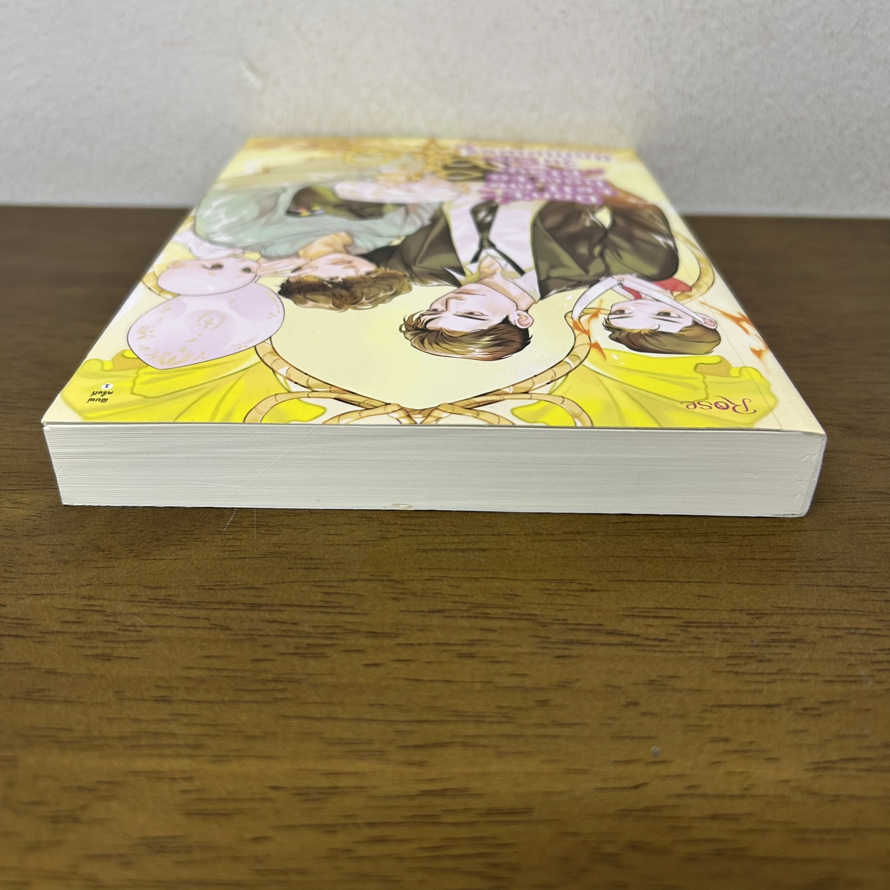 [YAOI] Don't tell me how to play วุ่นรักนักเกมเมอร์ ... หนูแดงตัวน้อย (มือสอง) นิยายวาย Rose