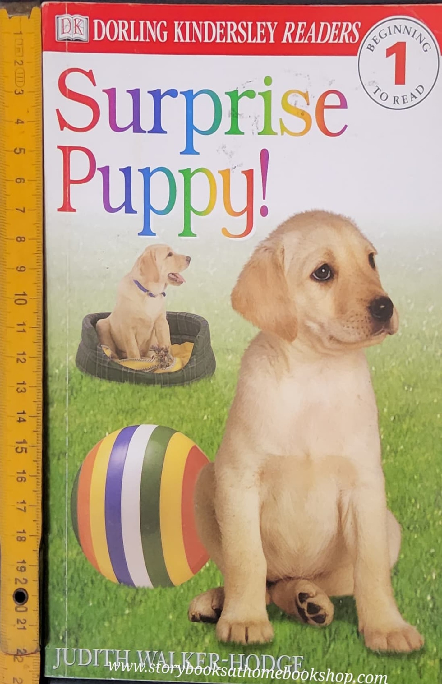 หนังสือนิทานปกอ่อน** 🍅🍓DK KINDERSLEY READERS:SURPRISE PUPPY! #1