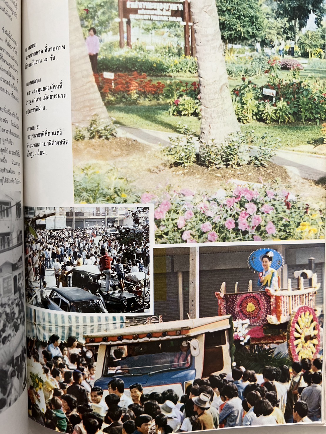 ธรรมชาติศึกษา : ฉบับแนะนำไม้ใบ-ไม้ประดับของไทยและเทศ (ชุดที่ 1 เล่มที่ 2 ลำดับที่ 2 ปี 2521).