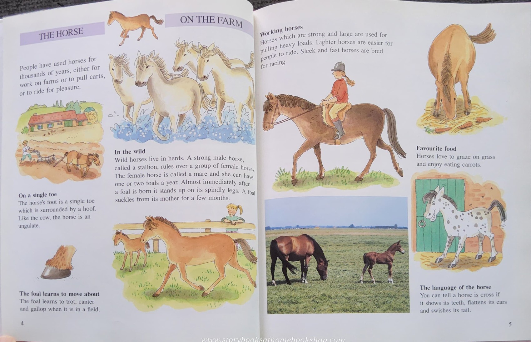 KNOWLEDGE BOOK** ♥️♥️HOW ANIMALS LIVE ON THE FARM