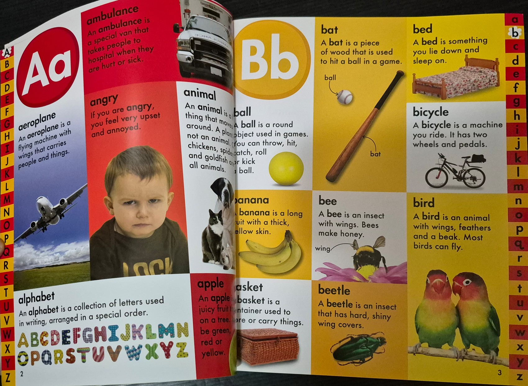 KNOWLEDGE BOOK** ððFIRST DICTIONARY