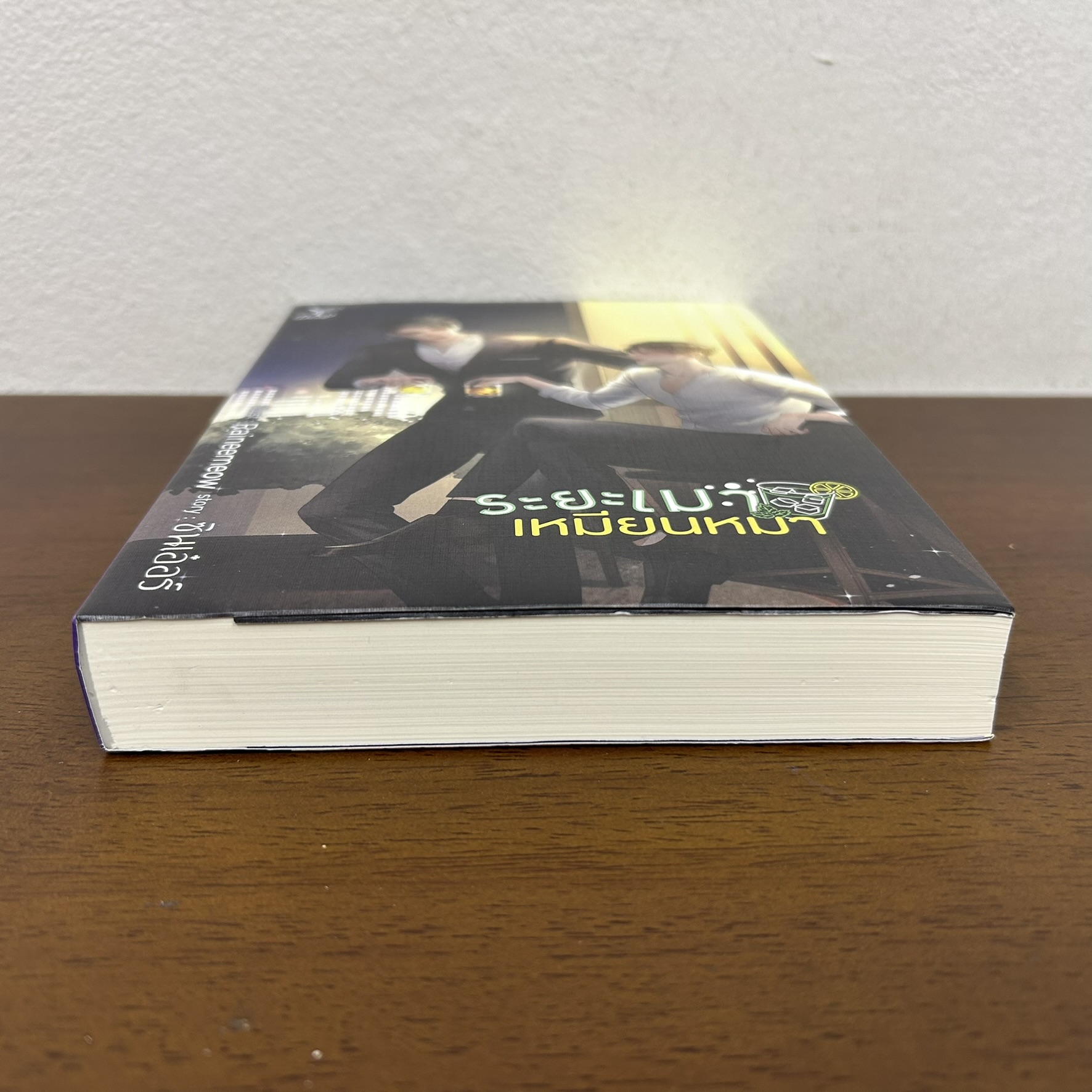 [YAOI] ระยะเมาเหมียนหมา ... ซินเอ๋อร์ (มือสอง) นิยายวาย DEEP