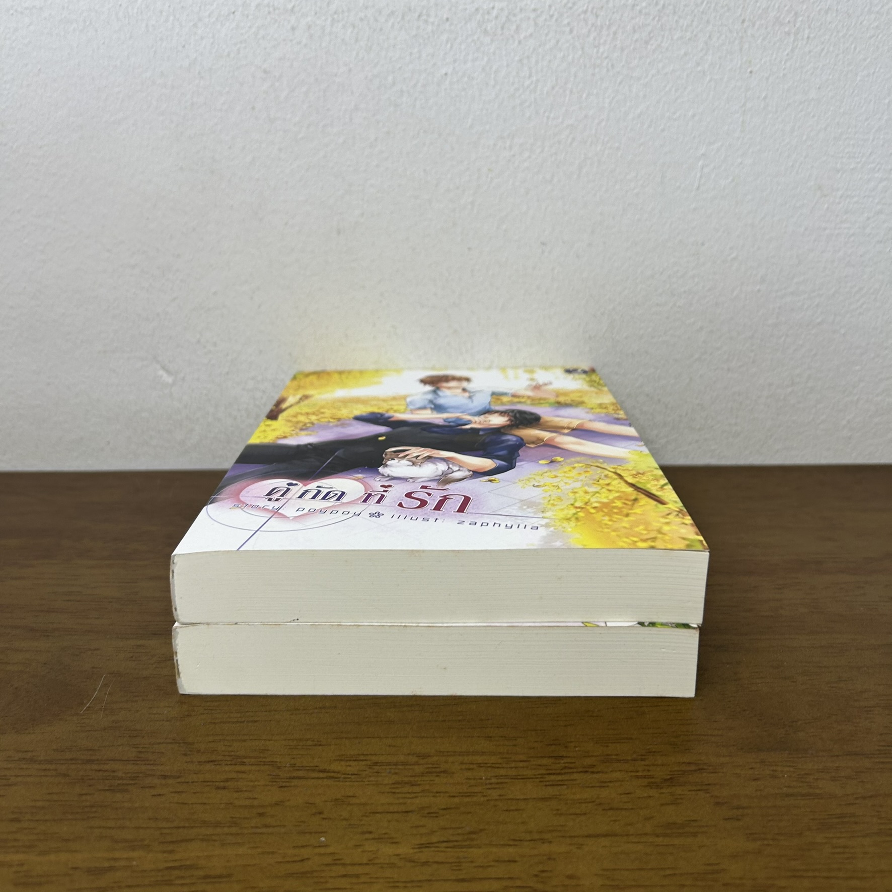 [YAOI] คู่กัดที่รัก เล่ม 1-2 จบ ... poypoy (มือสอง) นิยายวาย Hermit