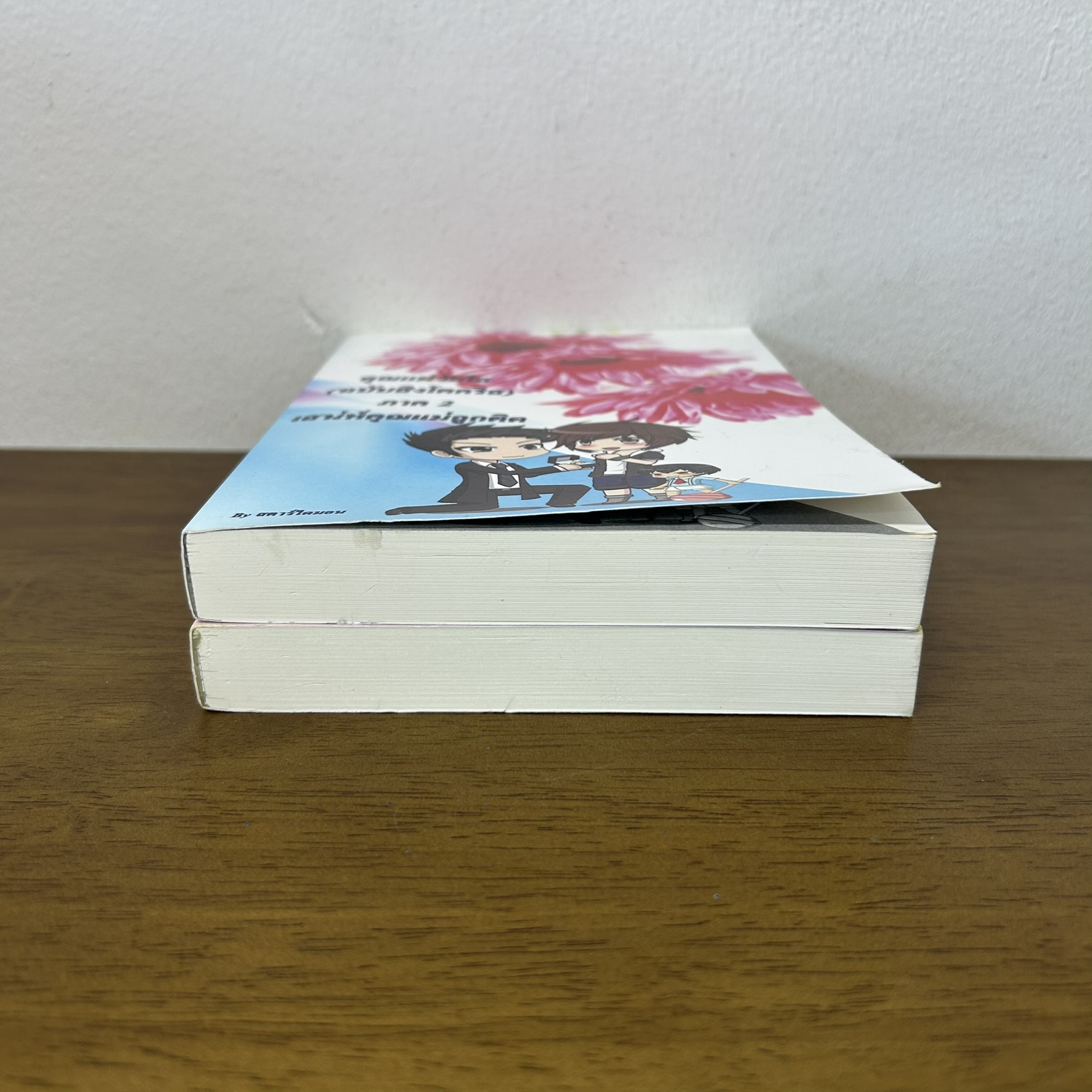 คุณแม่วัยใส ฉบับสิงโตคริส+ภาค 2 เสน่ห์คุณแม่ลูกติด ... Star_Diamond (มือสอง) นิยายวาย