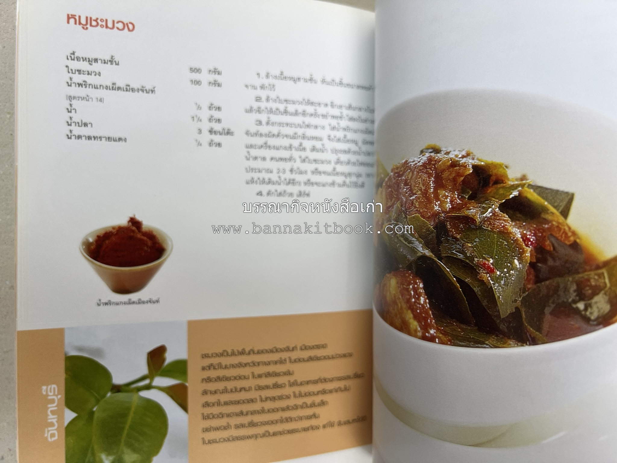 ข้าวแกงเป็นอาชีพ โดย : สำนักพิมพ์แสงแดด.