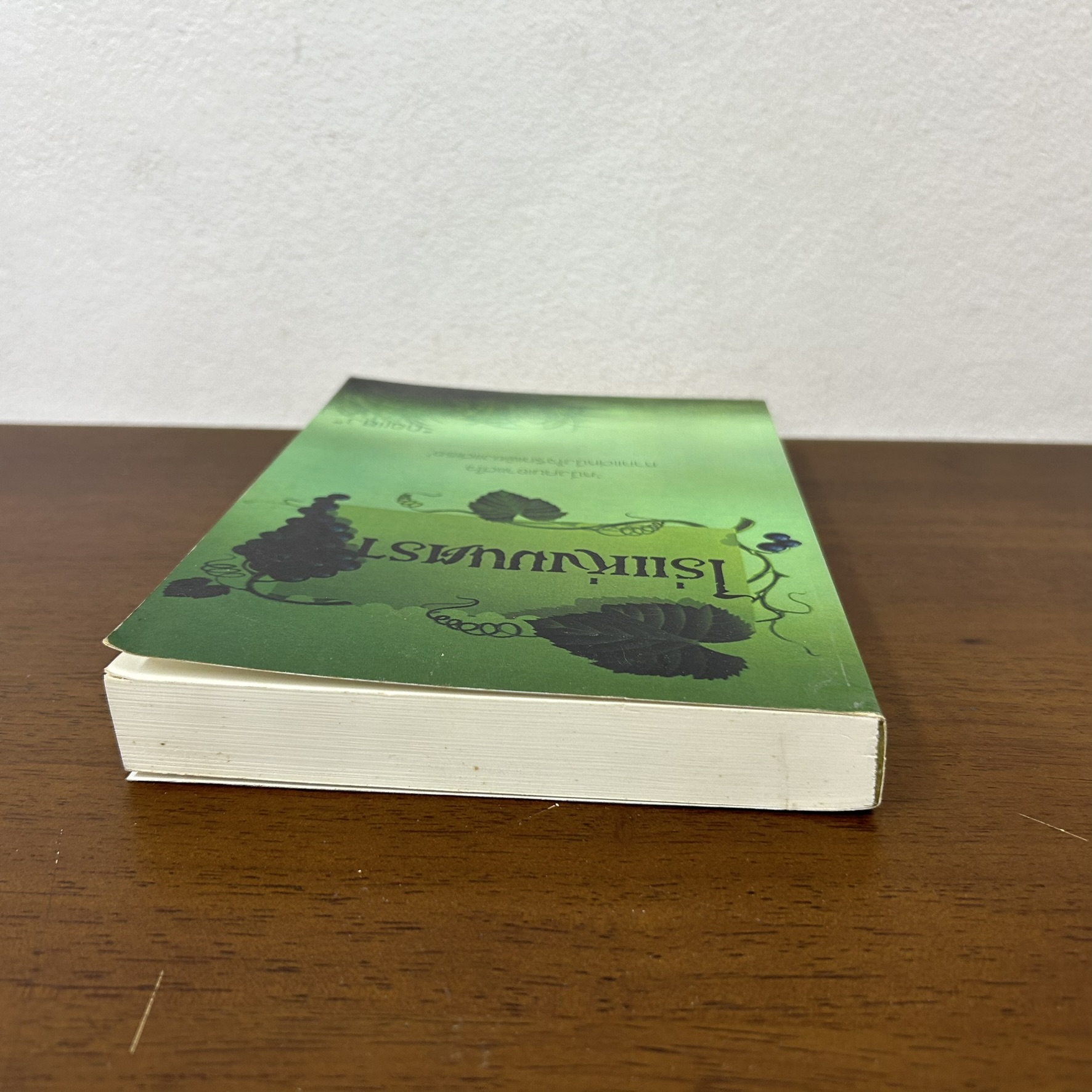 [YURI] ไร่แห่งมนตรา ... ทอเเสง (มือสอง) นิยาย โรแมนติก ยูริ