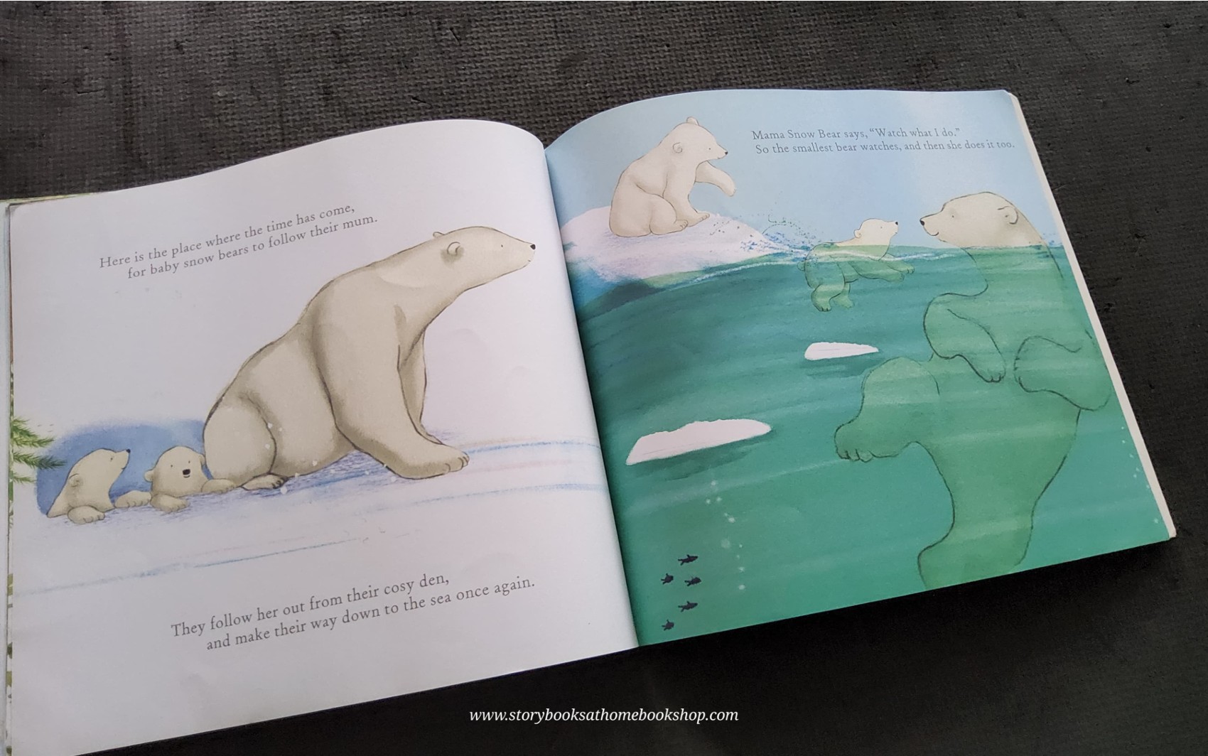 หนังสือนิทานปกอ่อน ** 🍅🍓 TWO LITTLE BEARS