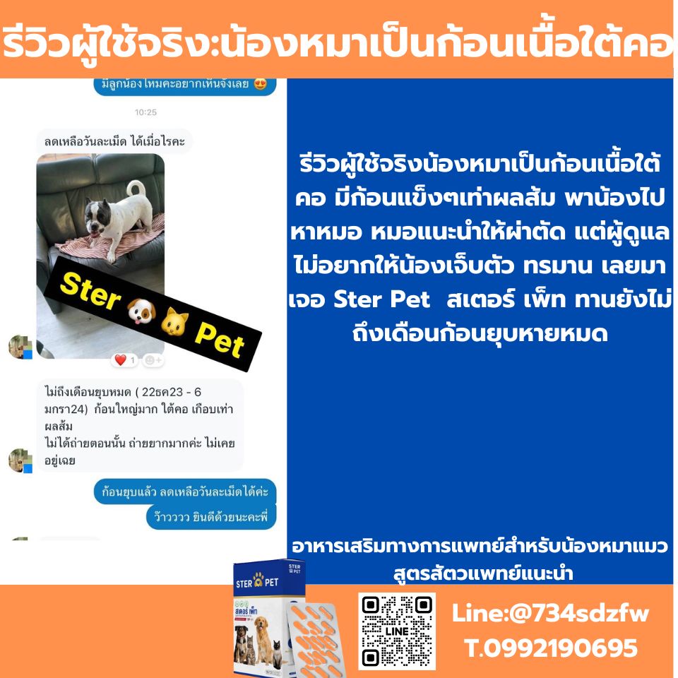 เซตทดลอง สเตอร์ เพ็ท Ster Pet เนื้องอกหมาแมว ก้อนเนื้อหมาแมว มะเร็งสุนัขแมว ลดอักเสบ ลดขนาดก้อนเนื้อ เบื่ออาหาร น้ำหนักลด ไตวายหมาแมว แผลยุบเร็ว ( 15 แคปซูล)