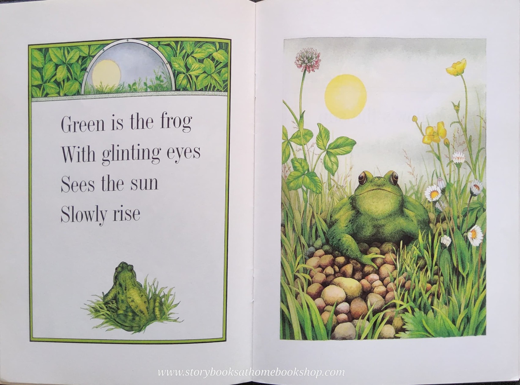 หนังสือนิทานปกอ่อน** ♥️WHITE IS THE MOON BY VALERIE GREELEY