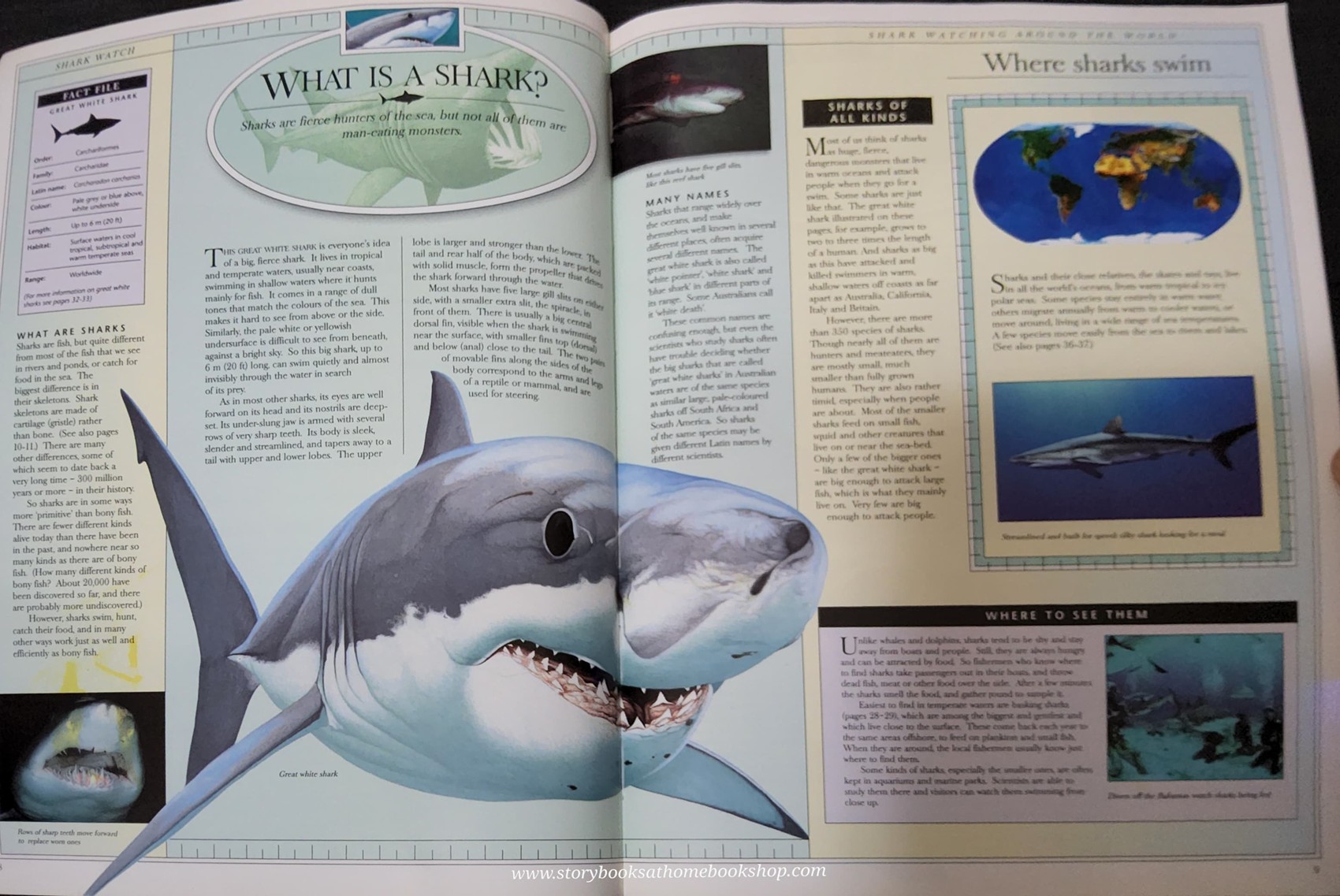KNOWLEDGE BOOK** ð
ðANIMAL WATCH A VISUAL INTRODUCTION TO SHARKS SKATES AND RAYS