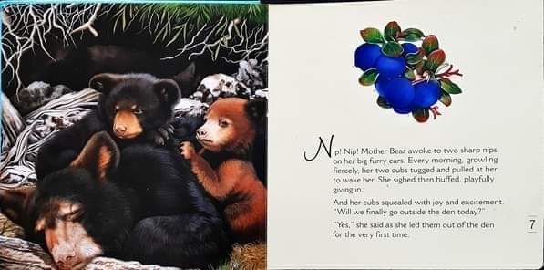 BOARD BOOK** 🍅🍓WE ARE BEARS