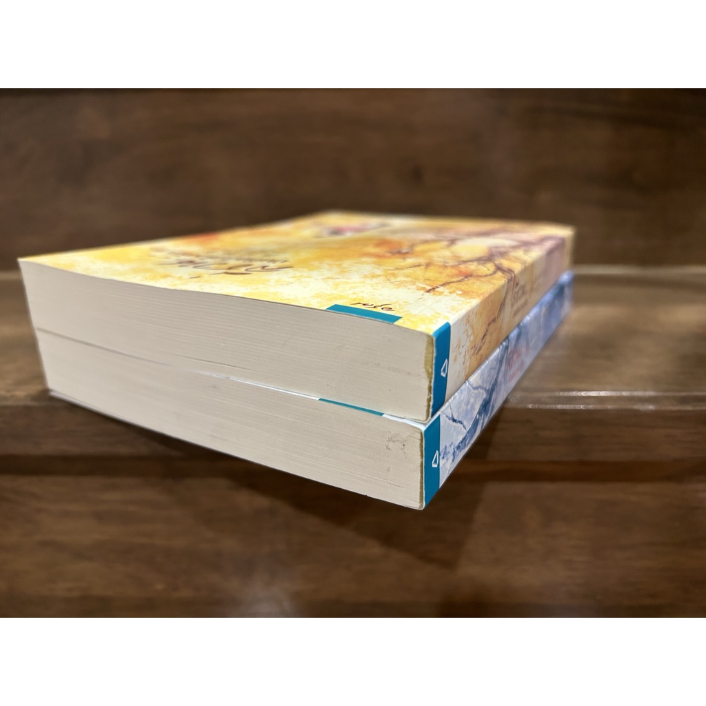 ลี่ชวน...บันทึกในห้วงรัก เล่ม 1-2 จบ ครบชุด ... ซือติ้งโหรว (Shi Dingrou) (มือสอง) นิยายรัก โรแมนติกจีน