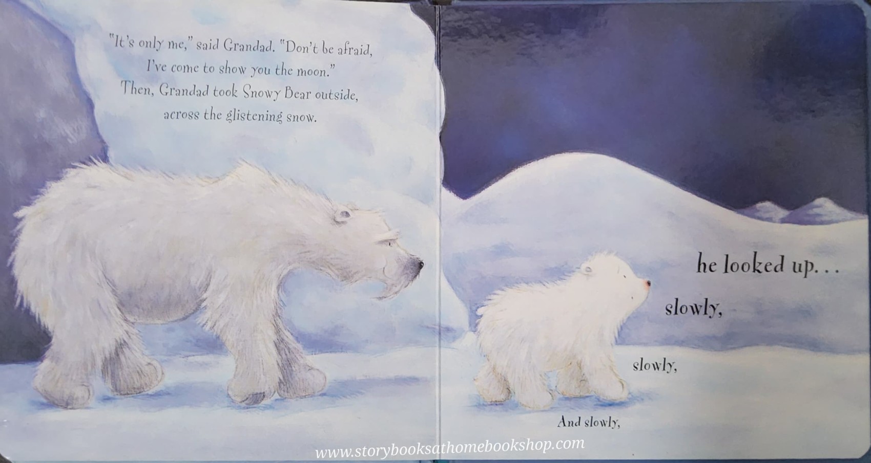 BOARD BOOK** 🍅🍅SNOWY BEAR