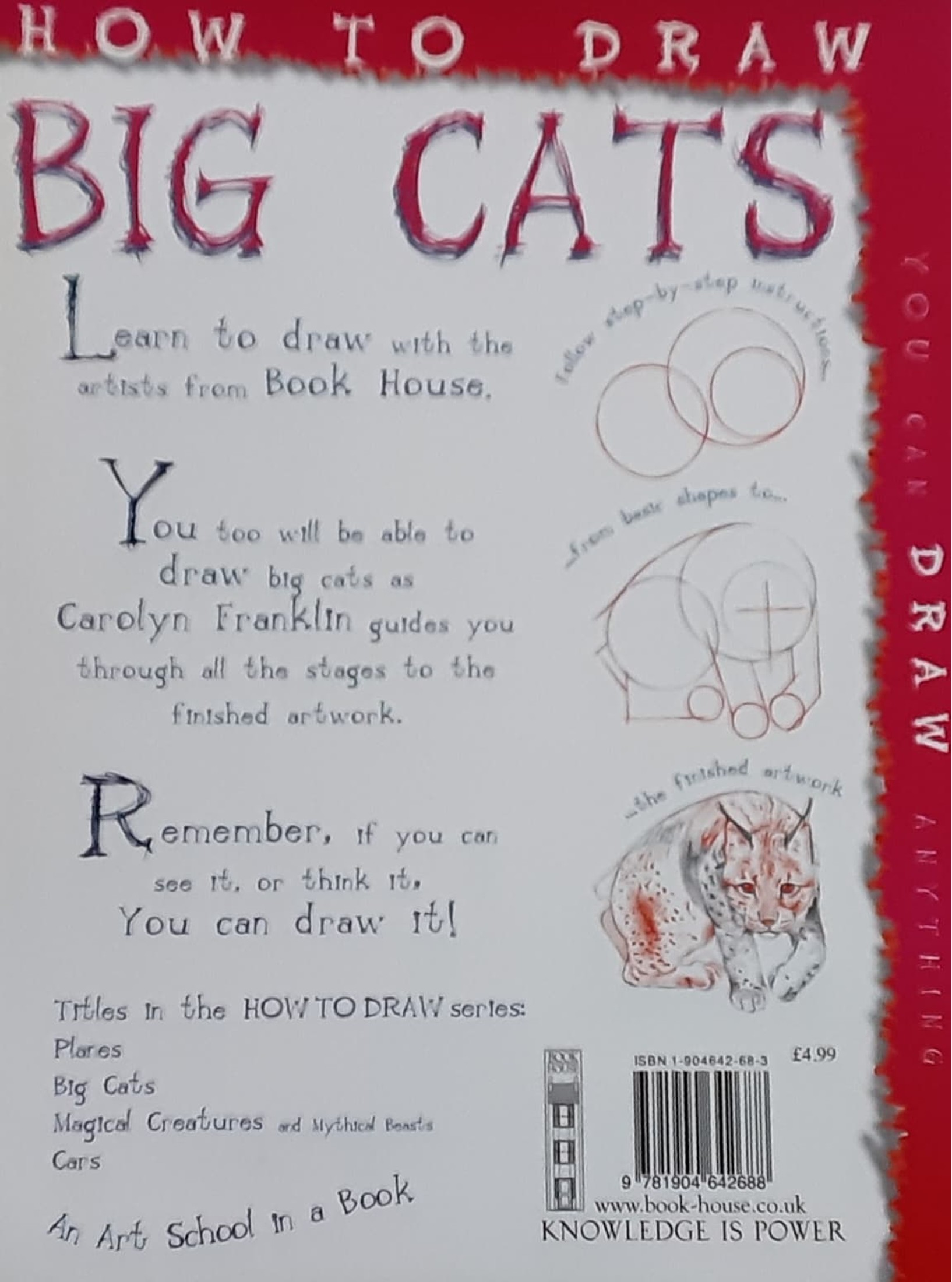 DRAWING BOOK** ð
ðHOW TO DRAW BIG CATS