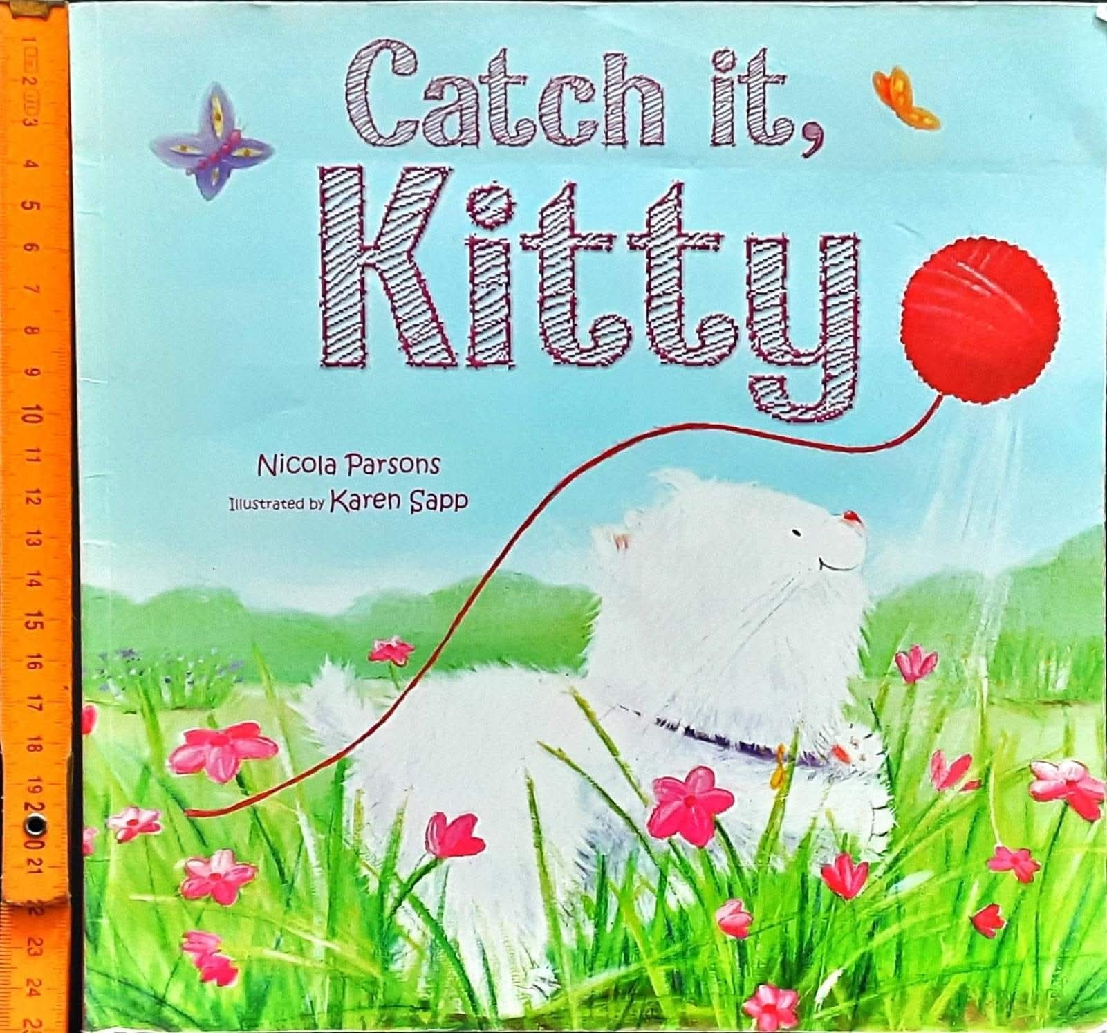 หนังสือนิทานปกอ่อน ** 🍅🍓 Catch it,Kitty