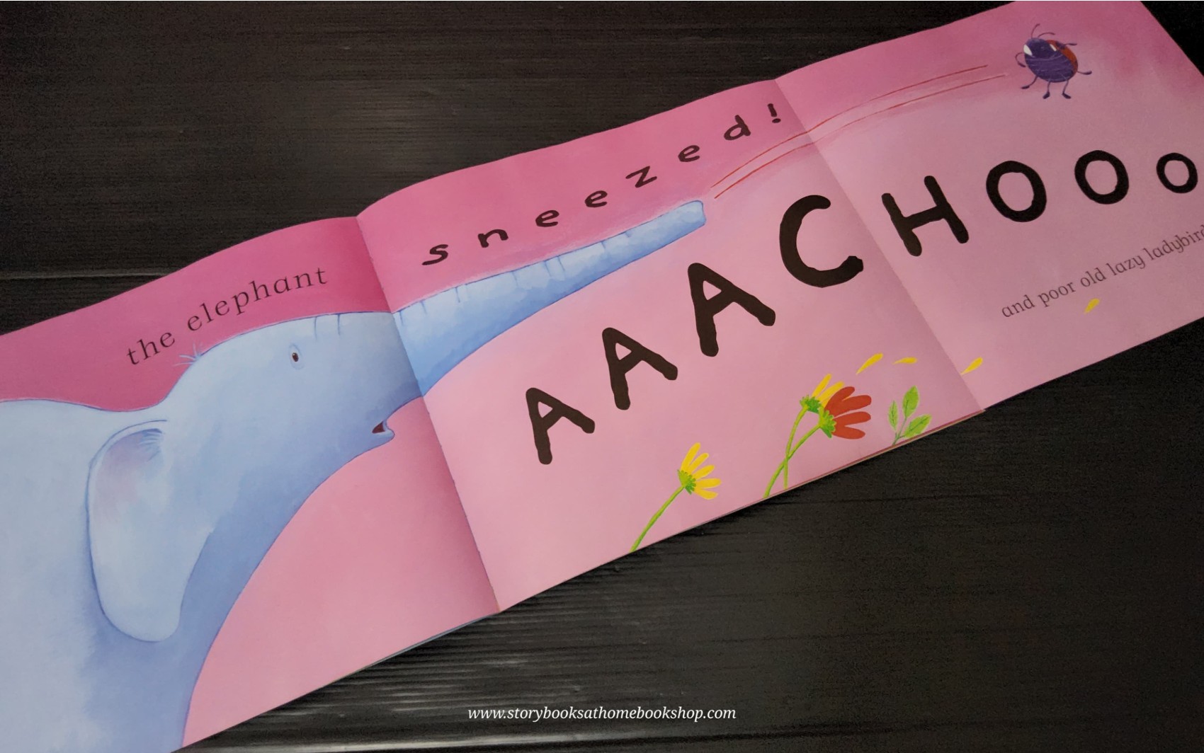 หนังสือนิทานปกอ่อน** 🍅🍓THE VERY LAZY LADYBIRD WITH CD