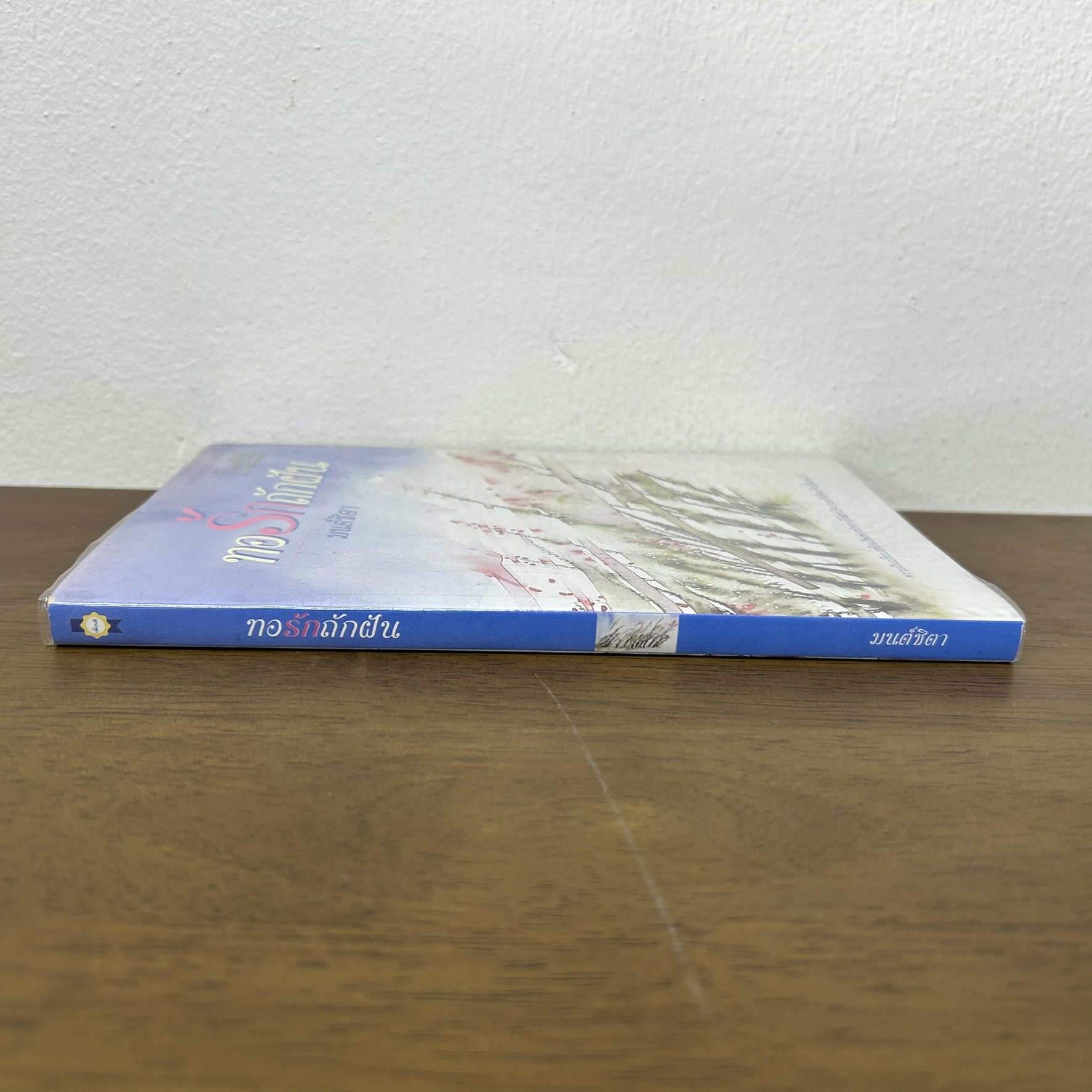 ทอรักถักฝัน ... มนต์ชิตา (มือสอง) นิยาย โรแมนติก เพื่อนดี