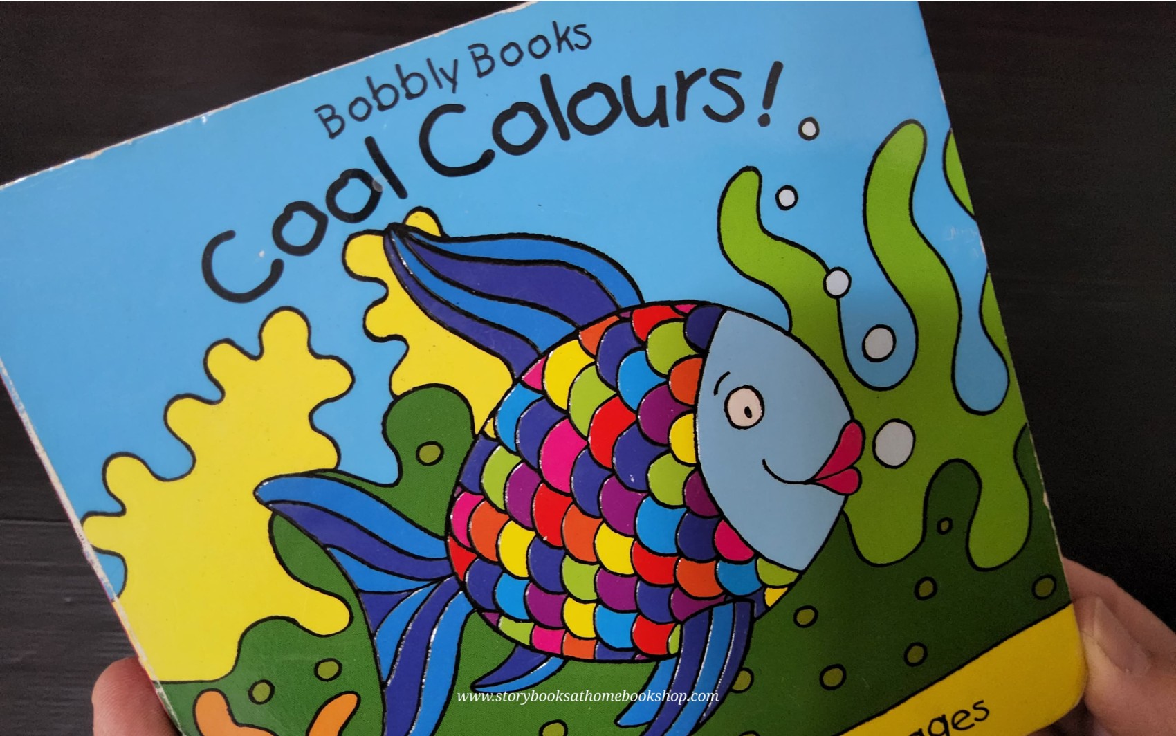 Board Book ** 🍅🍓BOBBLY BOOKS: COOL COLOURS