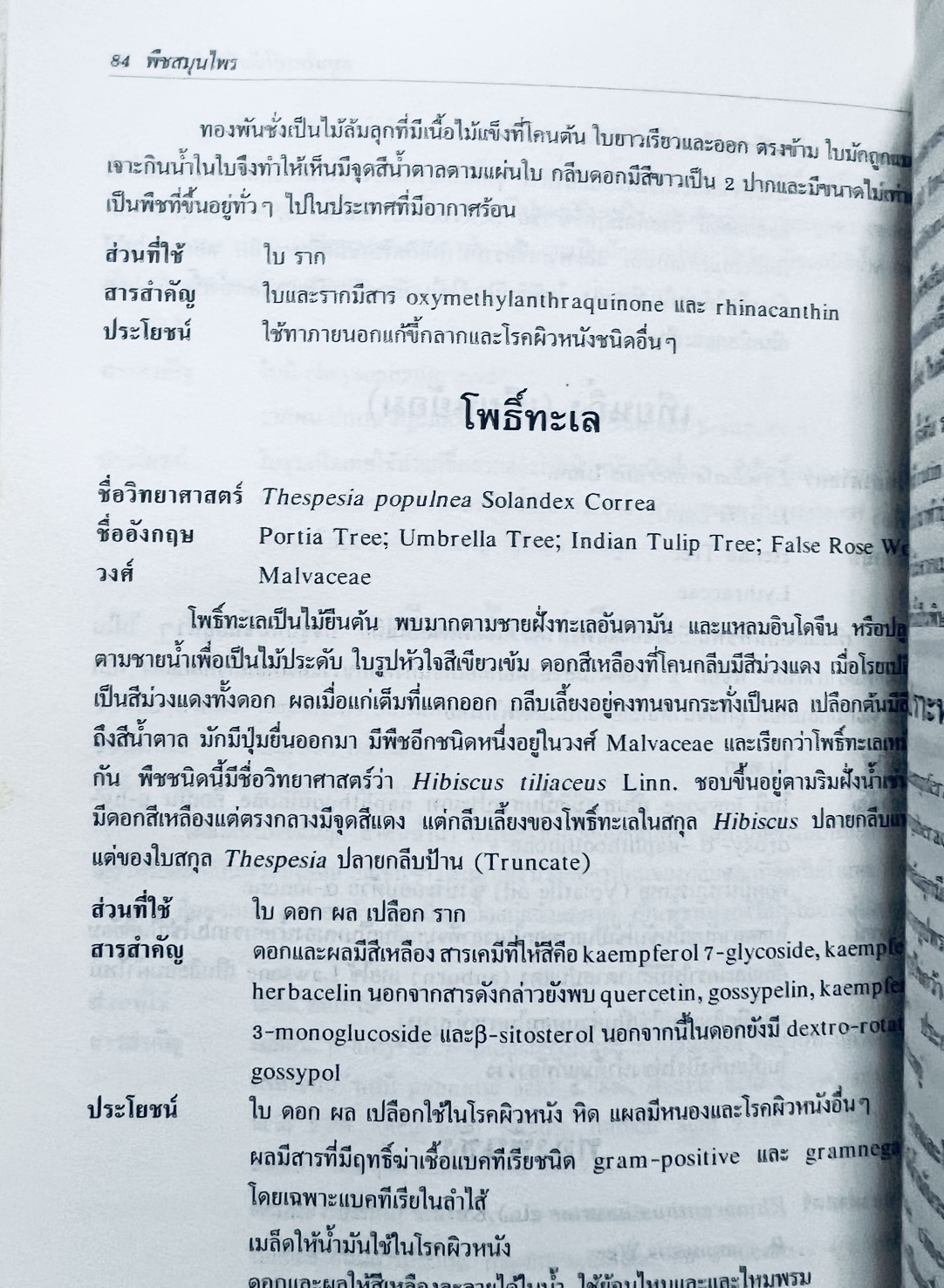 พืชสมุนไพร (ยาสมุนไพรไทย) โดย นิจศิริ เรืองรังษี, พยอม ตันติวัฒน์ คณะเภสัชศาสตร์ จุฬาลงกรณ์มหาวิทยาลัย.