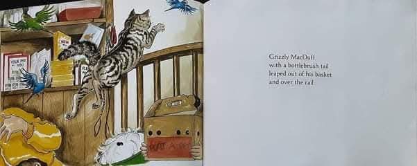 หนังสือนิทานปกอ่อน** 🍅🍓Hairy Maclary's Rumpus at the VET by Lynley Dodd