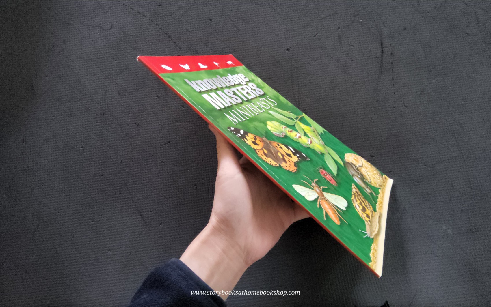 KNOWLEDGE BOOK** ♥️♥️KNOWLEDGE MASTERS MINIBEASTS♥️