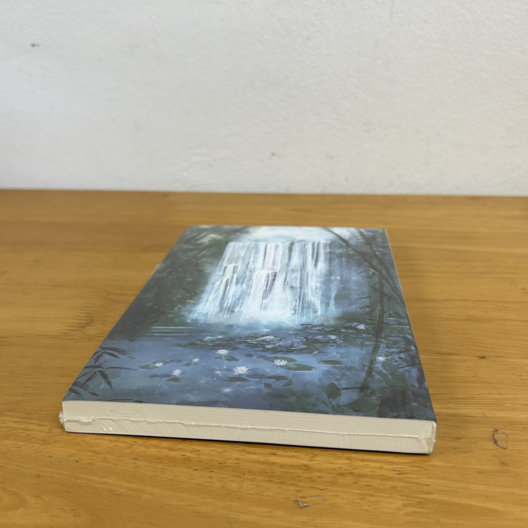 12 ชาติที่เราคลาดกัน ภาคพิเศษ2 ... สุยเปี้ยนเตี่ยนปา เขียน (มือหนึ่งซีล) นิยาย จีนโบราณ