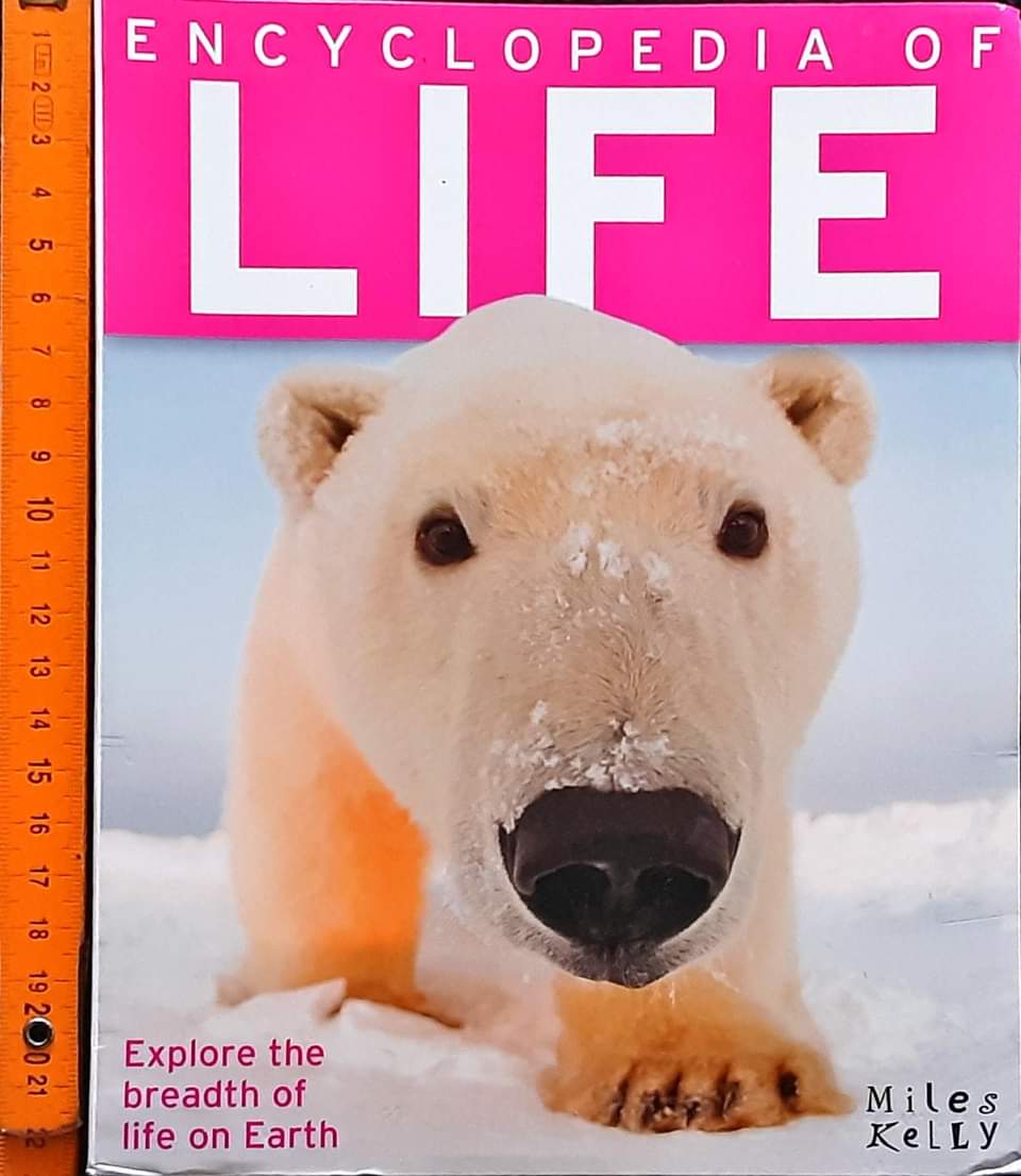 Knowledge Book** 🍅🍓ENCYCLOPEDIA LIFE♥️♥️