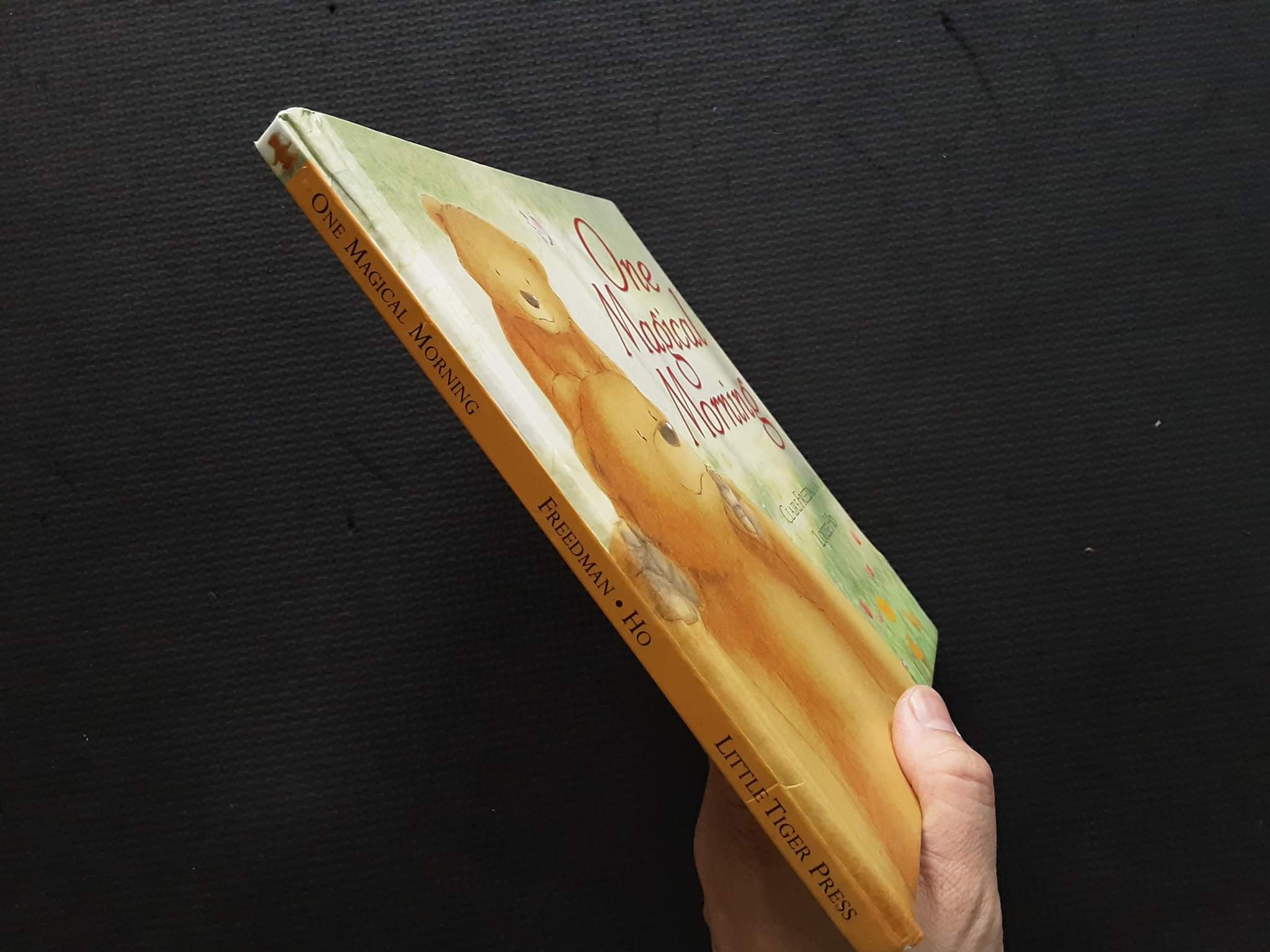 หนังสือนิทานปกแข็ง** 🍓🍓One Magical Morning