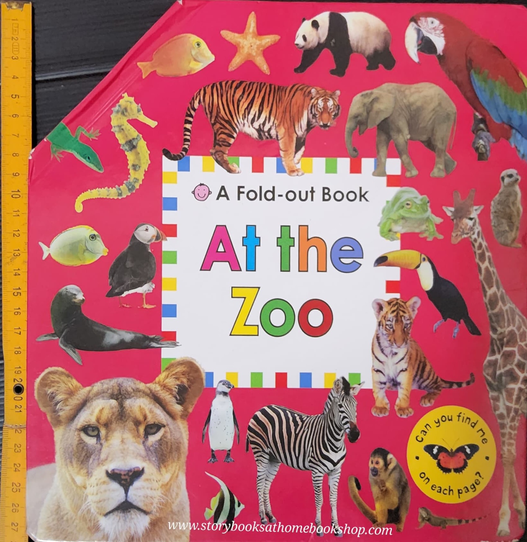 FOLD OUT BOOK ** 🍅🍓A FOLD OUT BOOK AT THE ZOO
