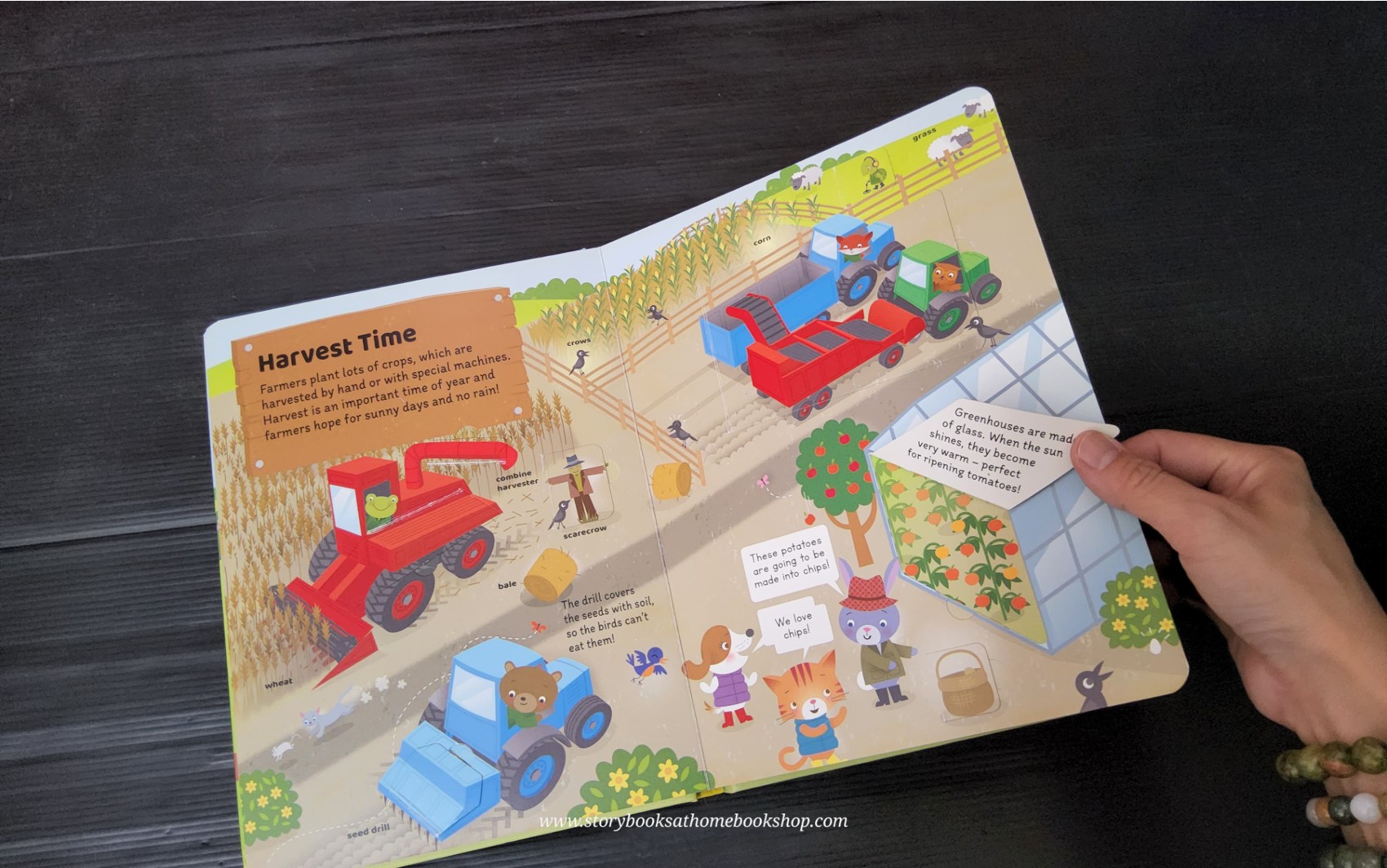 FLAPS BOARD BOOK ** 🍅🍅TOWN AND ABOUT FARM